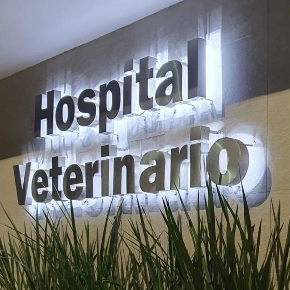 letras-retroiluminadas-veterinaria